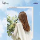 리시오 이미지