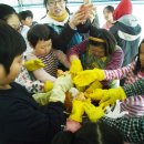 정상헌농장 이미지