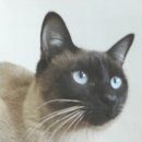 상봉2동 (3) 이미지