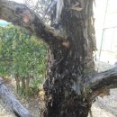 명동초등학교 이미지