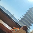 더 케이 무인 호텔 | 경주 온돌 숙소 더케이호텔 솔직후기