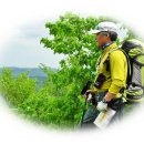 동부 비상-1호 이미지