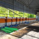 원대농장 이미지