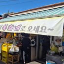 거북시장B(42136) | 🥔 남한산성 입구 복희네 맛집 후기, 감자전·오징어숙회가 최고였던 가족 외식