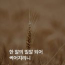 밀알 - 서대문구 통일로 171 | 밀알