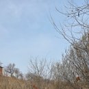 상중도뱃터 이미지