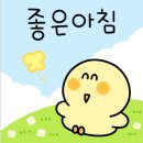 노은태권도 이미지