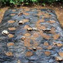 나오리농장 이미지