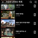 25-2(N). 하울의 움직이는 성 후기