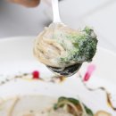 하늘과 소나무 이미지