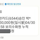 보리수화원 - 11710 | 보리수화원