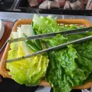 우수영민물장어 이미지