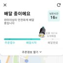 디자인피크