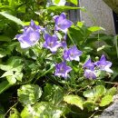 성령충만교회 이미지