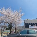 화수칼국수 이미지