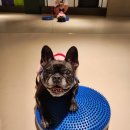 더위크앤리조트(더우프앤) 이미지