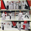 차오름태권도 이미지