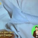 마음열기 태권도장 Daum카페