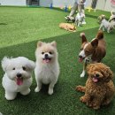 칠곡유치원 이미지