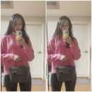 celine/ 셀린느 벨트백 나노 착샷 &amp; 사몰가 이너백 후기