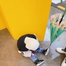 우리동네아이스크림 이미지