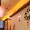 야당테라피