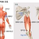 준슈퍼 이미지
