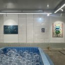 고양이 목욕탕 이미지