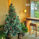 난산가옥 | 제주 서귀포 여행코스 가볼만한곳 숨도, 귤림성 동백꽃 LP 카페