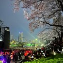 판타지 | 부산 온천천 연제고분판타지축제 후기 5일까지 가볼만한 봄 축제