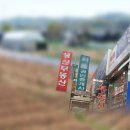경우기획 이미지