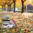 옥현어린이도서관 이미지