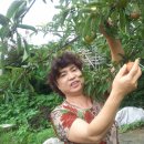 현서농장 이미지