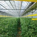 봉동2농장 이미지