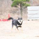 금강하우스 이미지