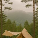 하방소 포레스트 | 텐트 밖 눈치 전쟁 끝! 수도권 '댕댕이 상팔자' 보장 캠핑장 Top 5 공개