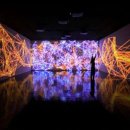 아라뷰티 이미지