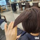 씨유안산네오빌6단지점 | 안산 고잔동 미용실 디어유어 여름 추천 염색 초코브라운 후기