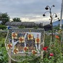 꼬망세어린이집 이미지