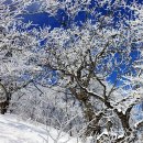 제 75차 오대산 국립공원 정기 산행 안내 이미지