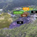 소나무와계곡