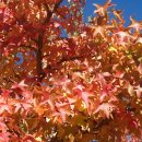 하소약국 이미지