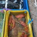 민락어민활어직판장 이미지