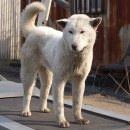 건영축산 이미지