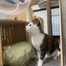 아이조아요양보호소 동탄점 이미지