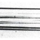 (주)레이온 이미지