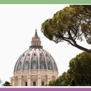 드림에스치과의원 이미지