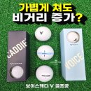 (주)리소프트 | 보이스캐디 V 골프공 후기 가볍게 쳐도 비거리 늘어나는 저압축 골프공