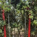 한울타리 농촌체험마을 이미지