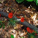 용주서원 이미지